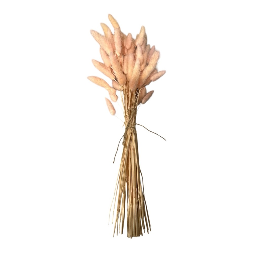 Peach Dried Bunny Tail Grass Bouquet